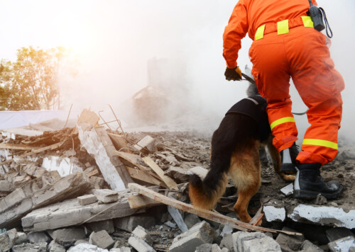 iStock-1387485040-500x356 Search and rescue